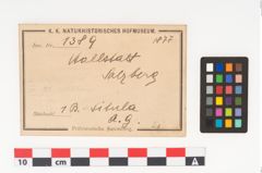 Etikett zu Bronzesitula (NHMW-PRAE-001389)